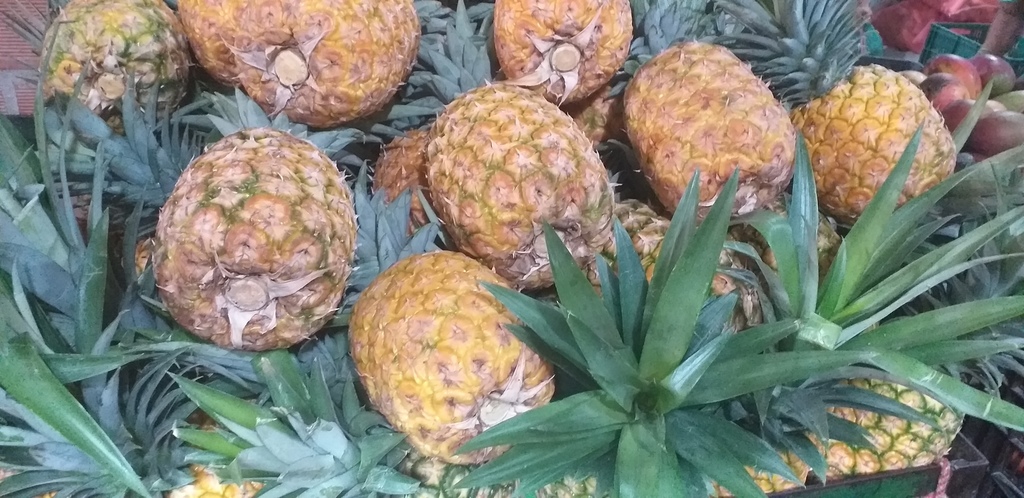 Piña oromiel