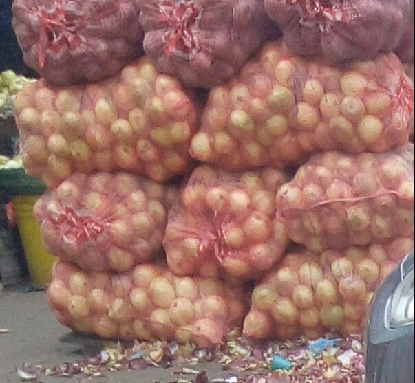 Cebolla cabezona