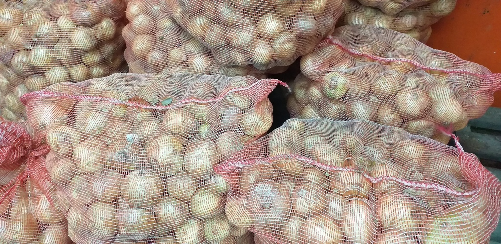 Cebolla blanca *50kg