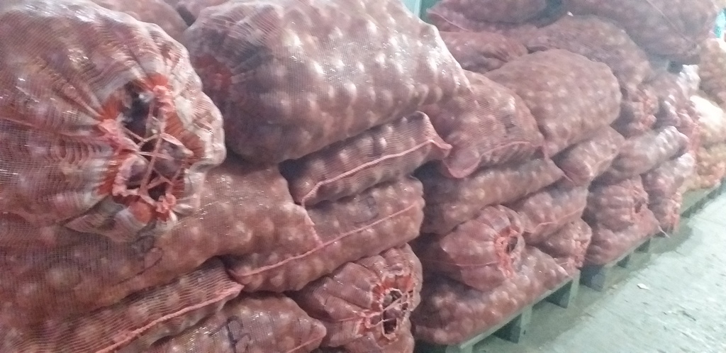 Cebolla roja *50kg