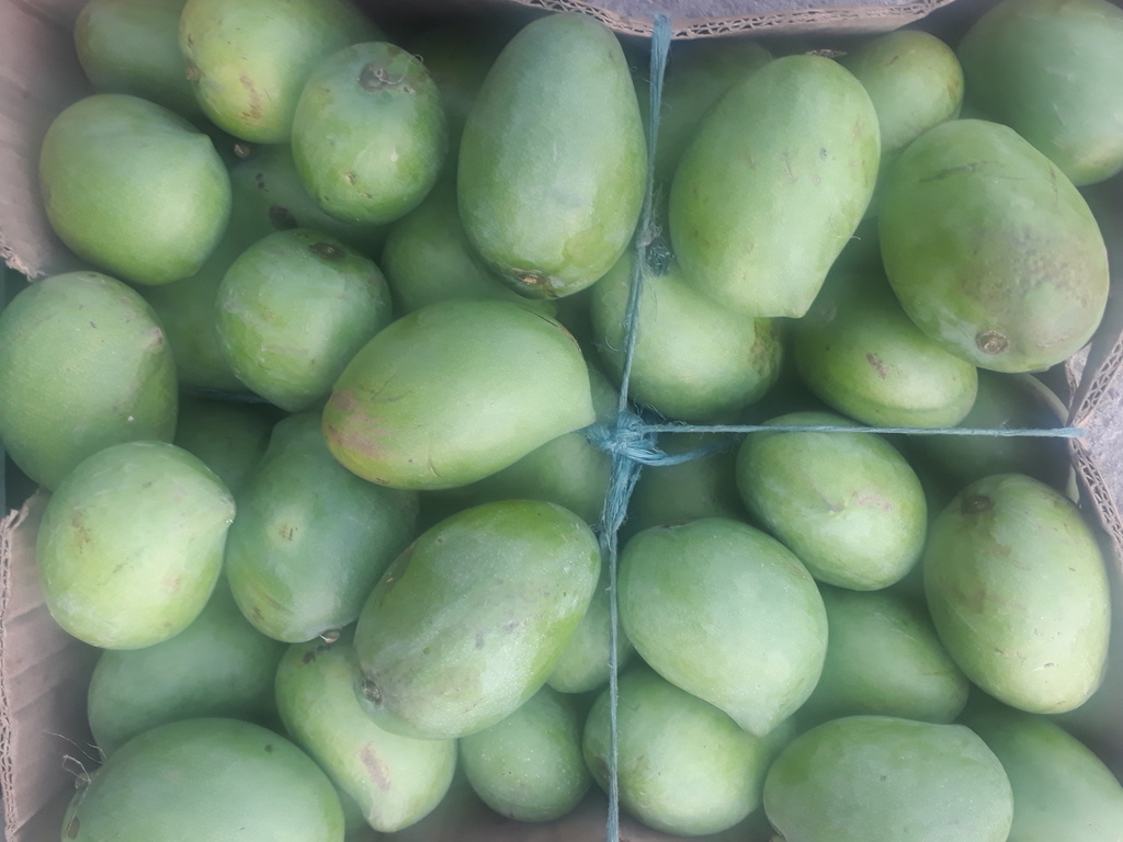Mango cerezo