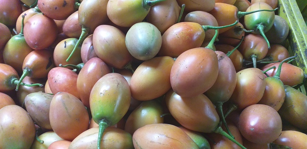 Tomate de arbol