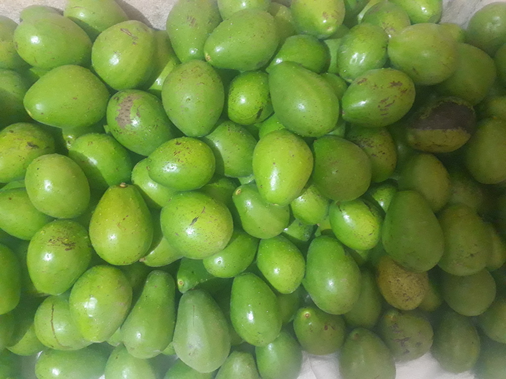 Ahuyama