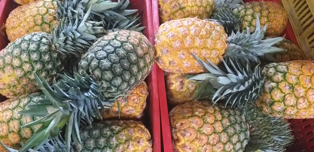 Piña oromiel