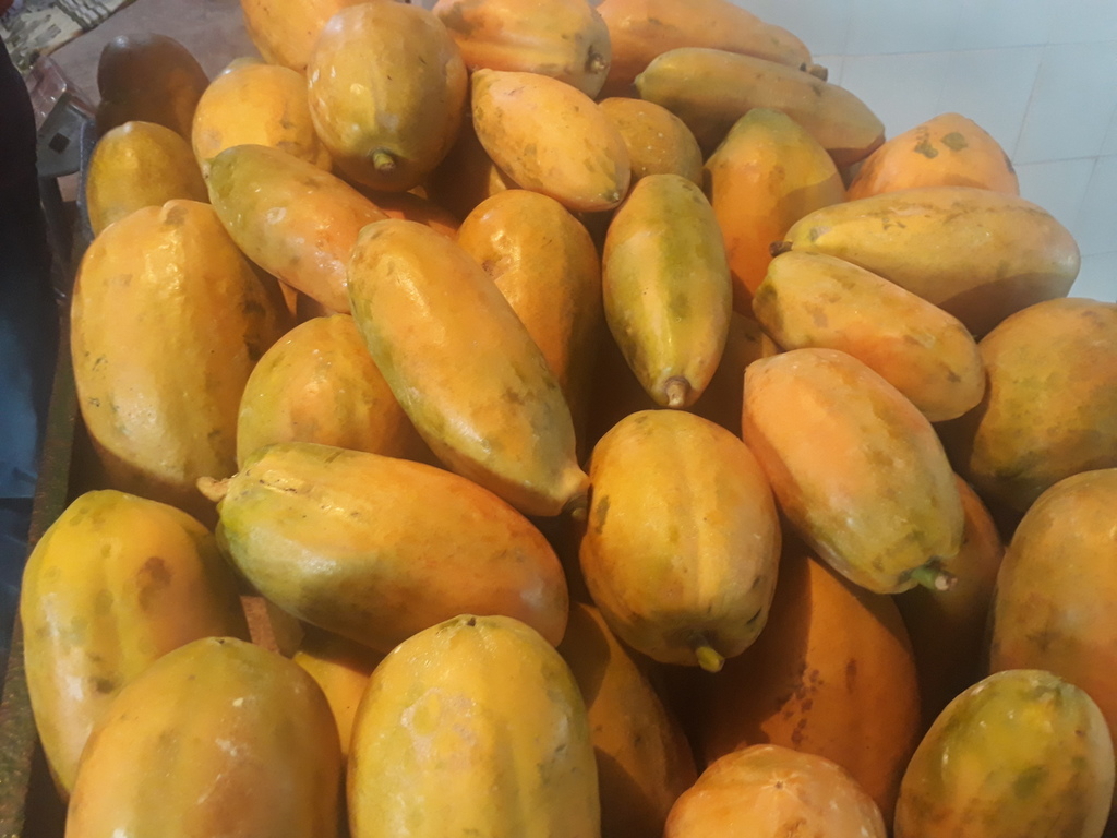 Papaya