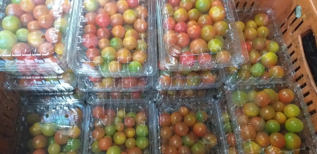 Tomate cherry *500gm