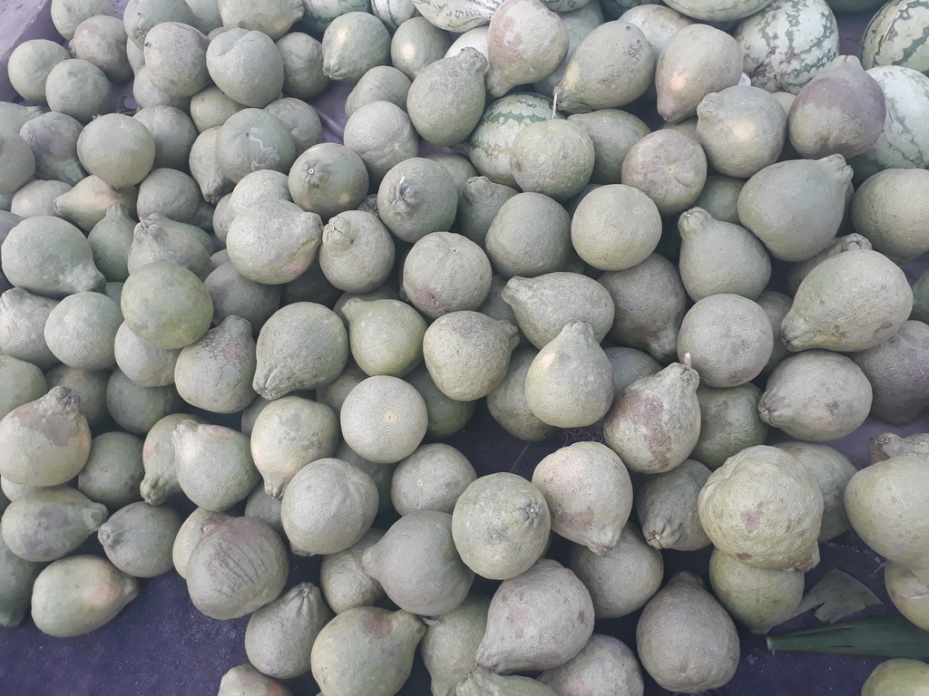 Ahuyama