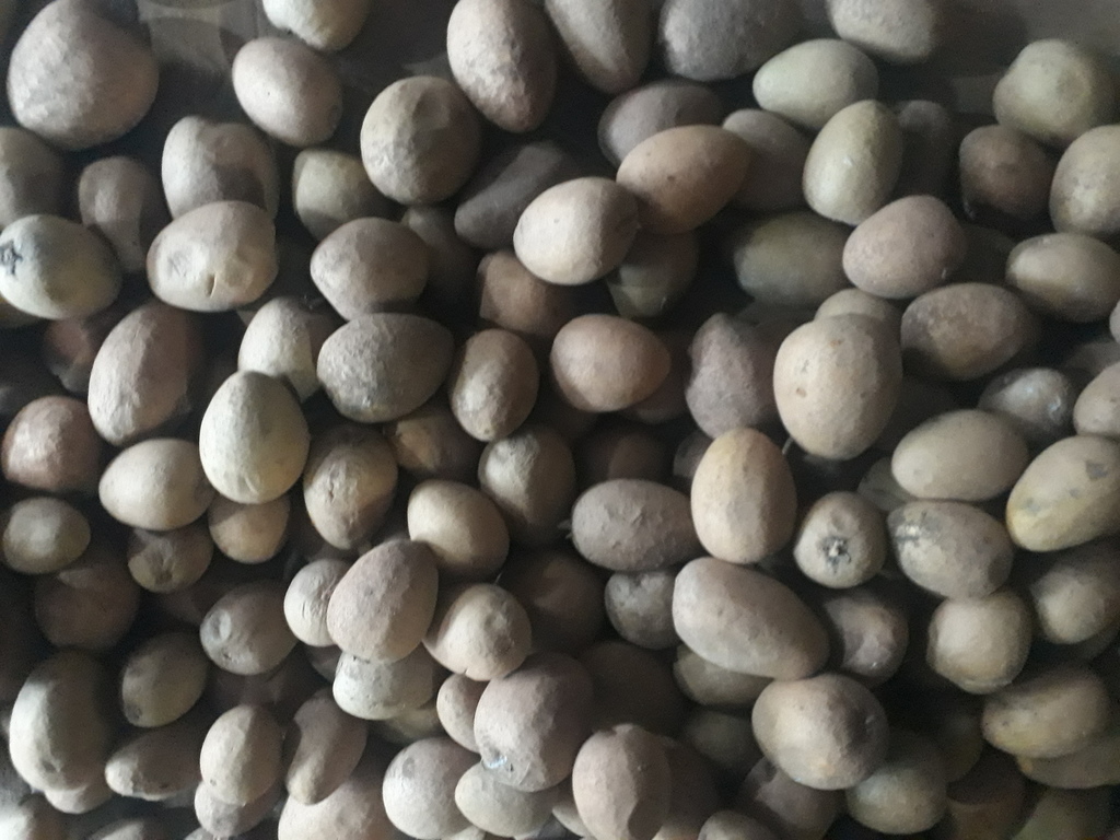 Ahuyama