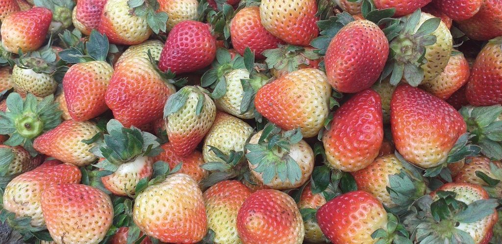Fresas de 3ra