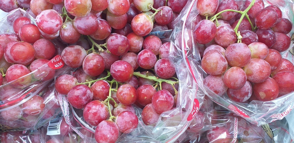 Uva chilena