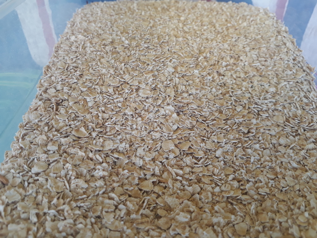Avena en hojuelas