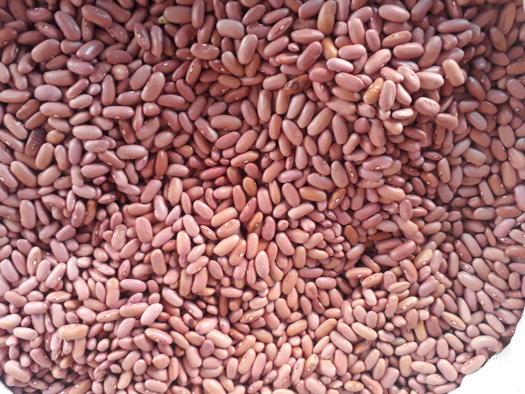 Arroz