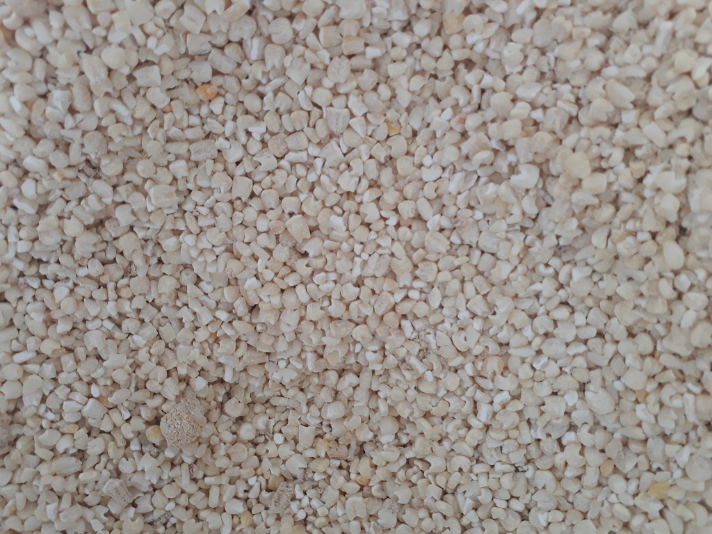 Arroz