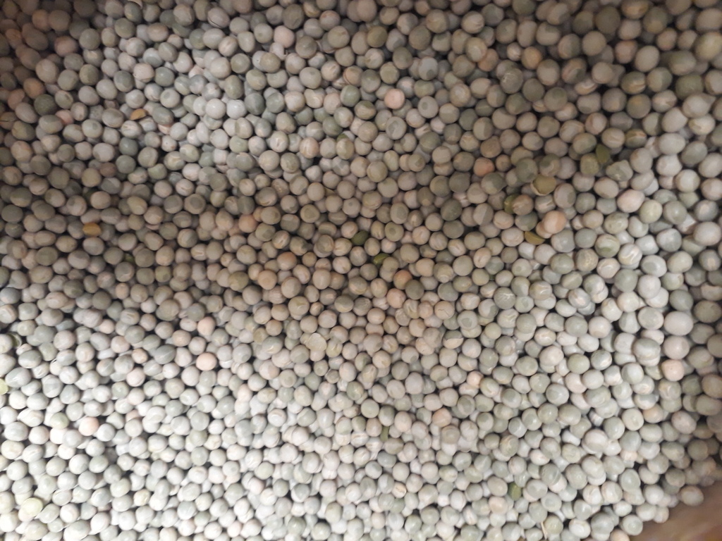 Arroz
