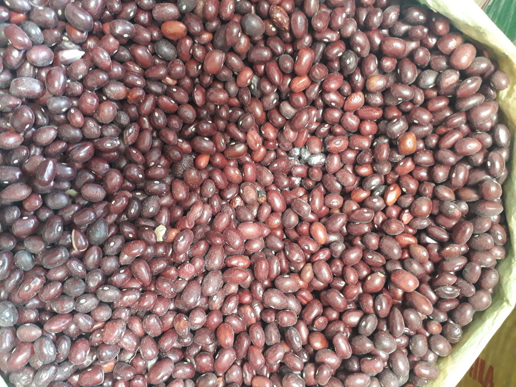 Arroz
