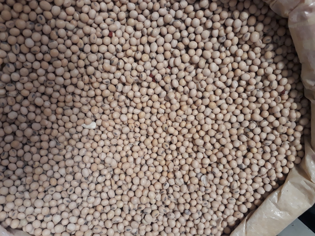 Arroz