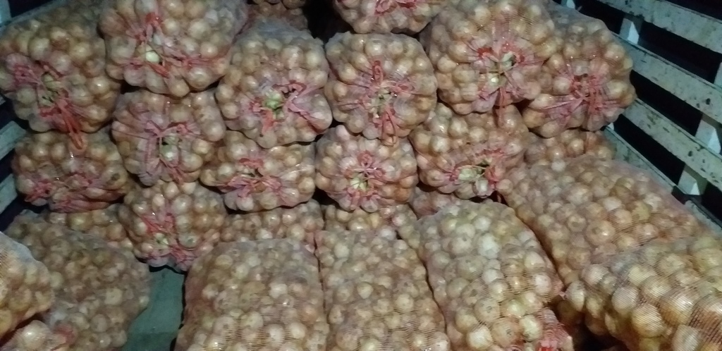 Cebolla blanca *48kg
