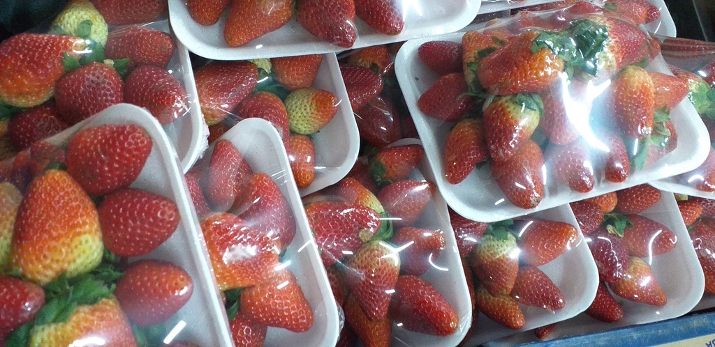 Fresa jumbo en bandeja