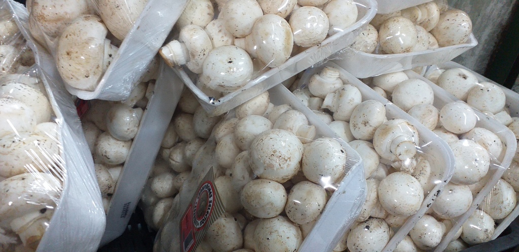 Champiñones