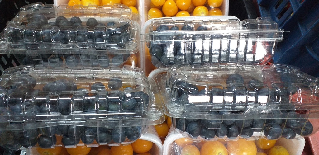 Arandanos *125gm