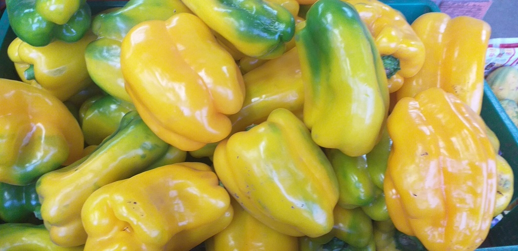 Pimenton amarillo