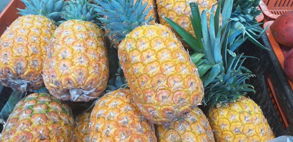 Piña oromiel
