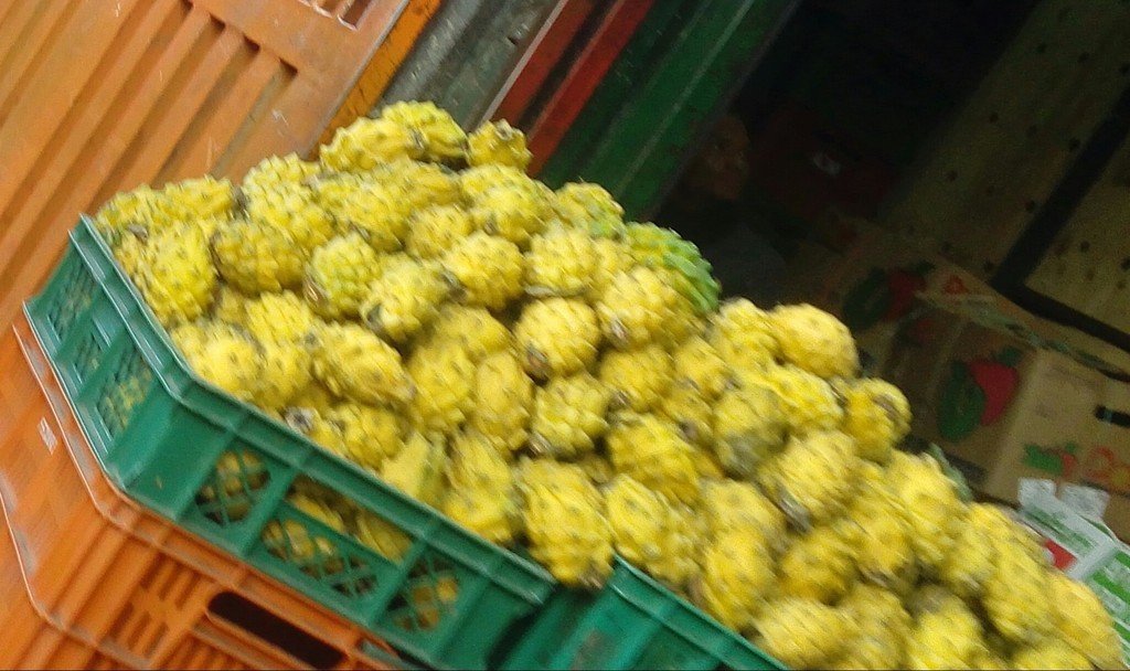 Pitaya