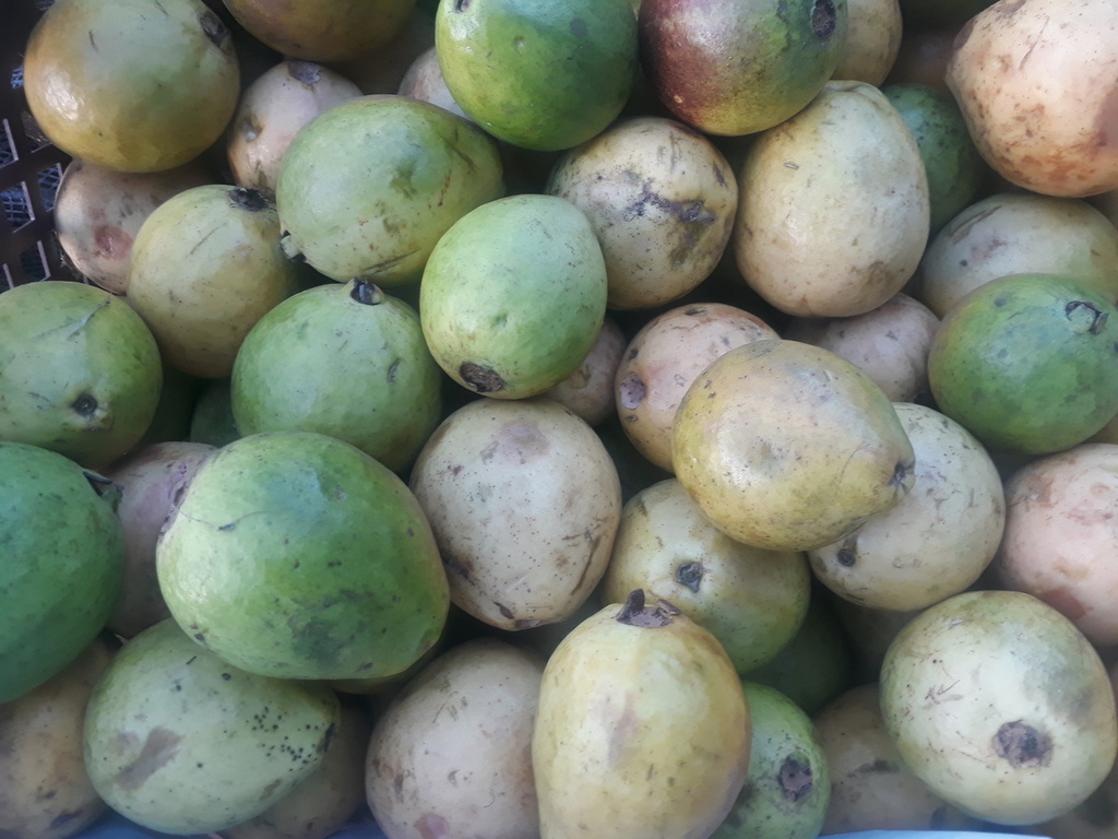 Guayaba dulce