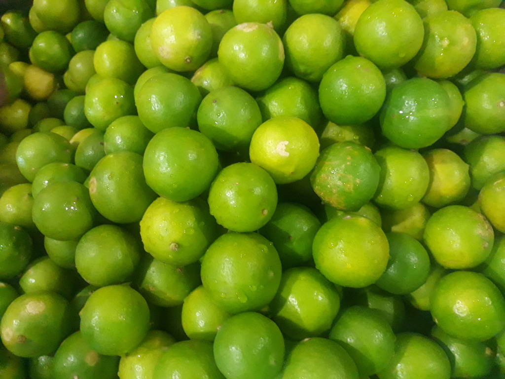 Limón