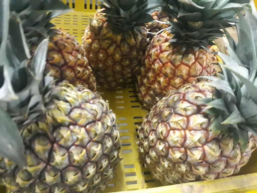 Piña pareja