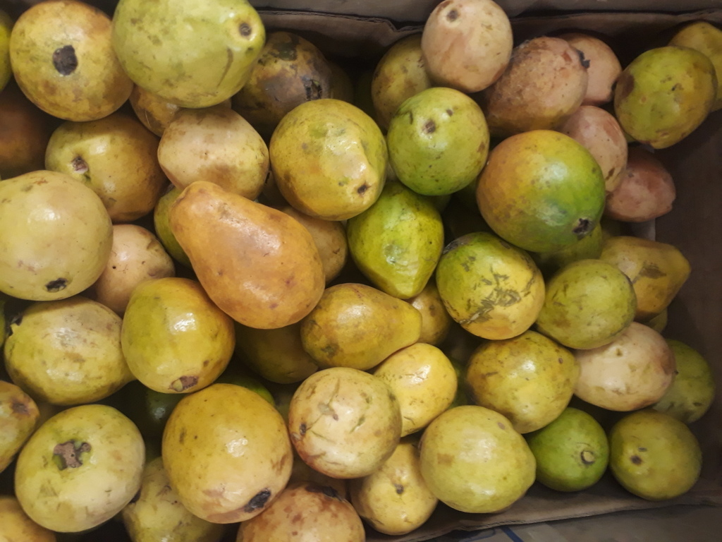 Guayaba dulce