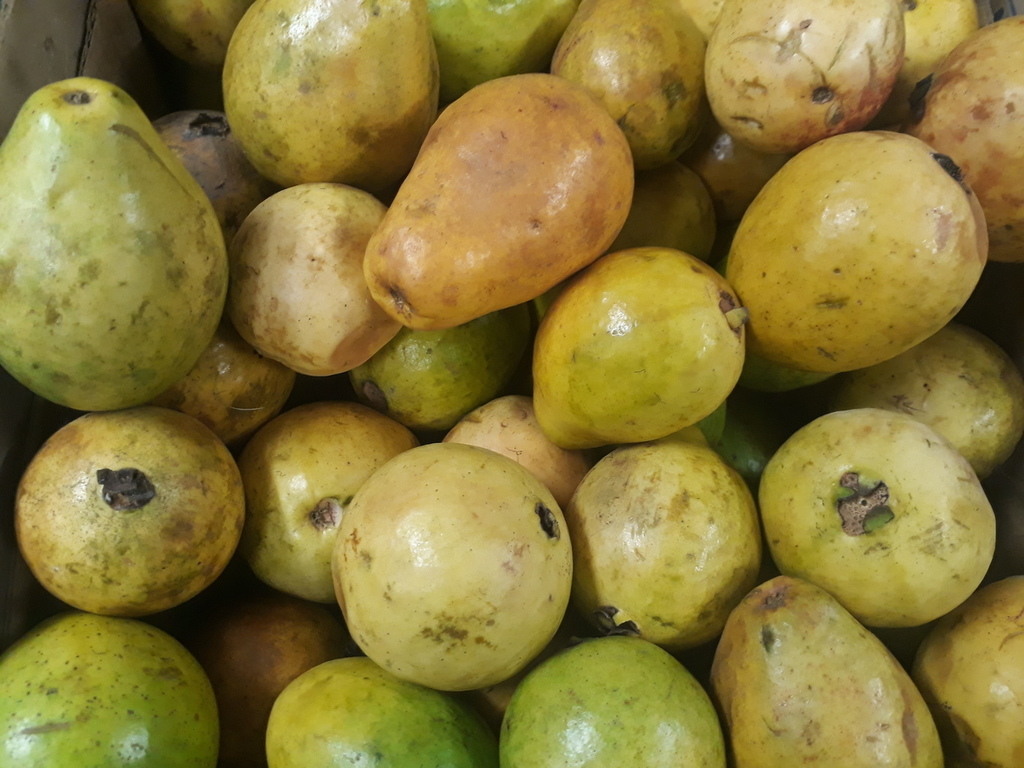 Guayaba dulce