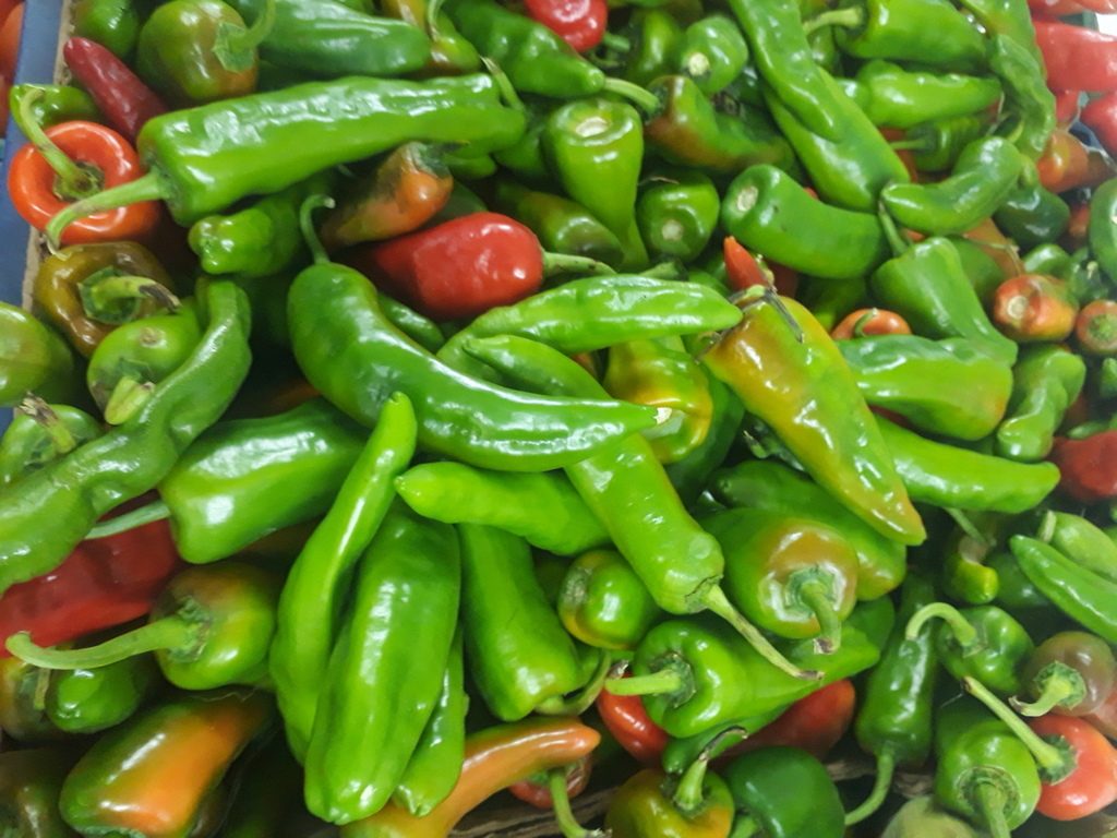 Aji