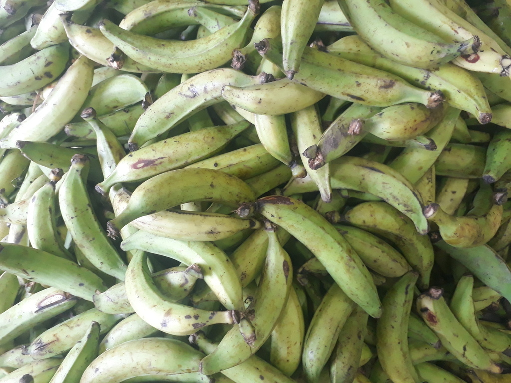 Platano verde  de 2da