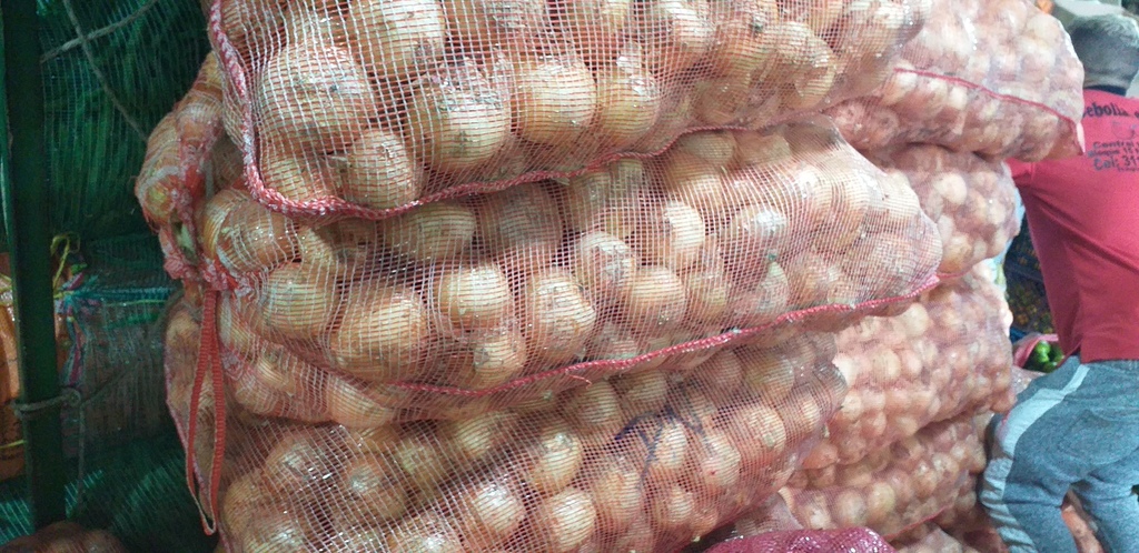Cebolla blanca *48kg