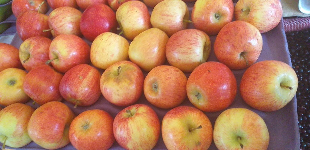 Manzana roja delgada