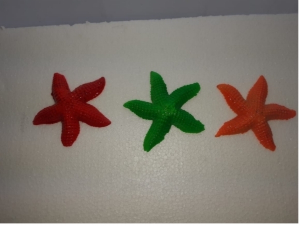 Estrellas de mar para acuario o pecera