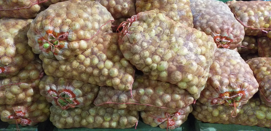 Cebolla blanca *50kg