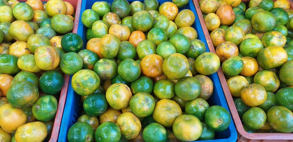 Mandarina oneca de 3ra