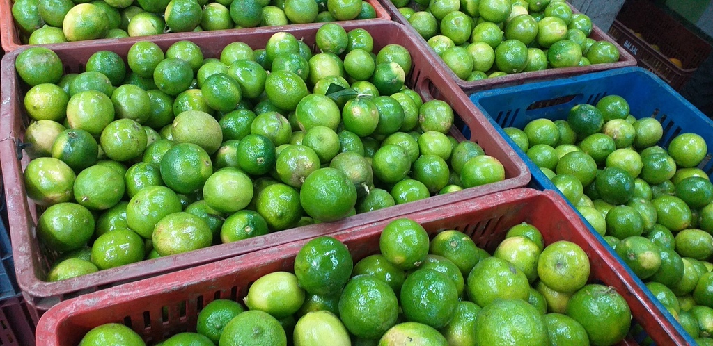 Limon tahiti