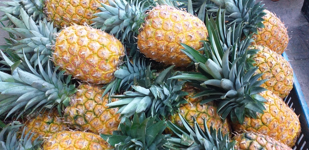 Piña oromiel