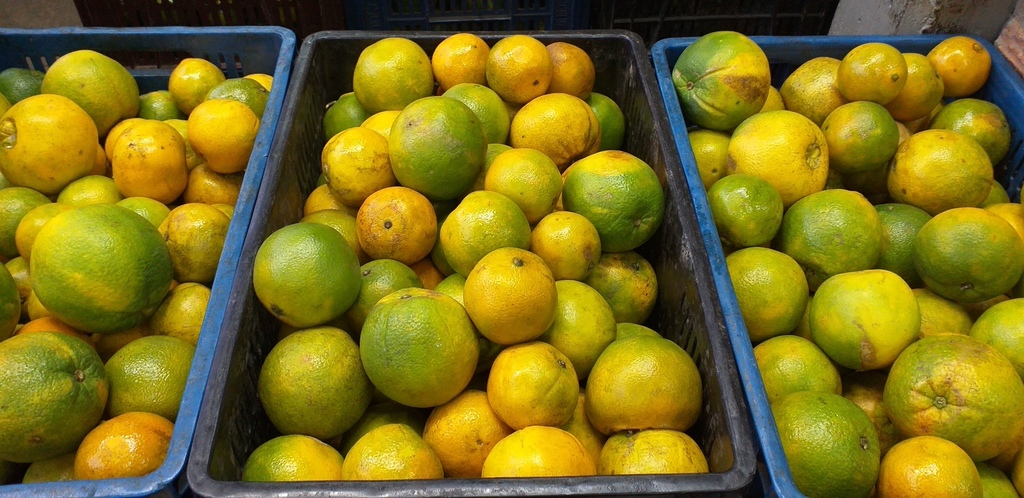 Naranja washinton