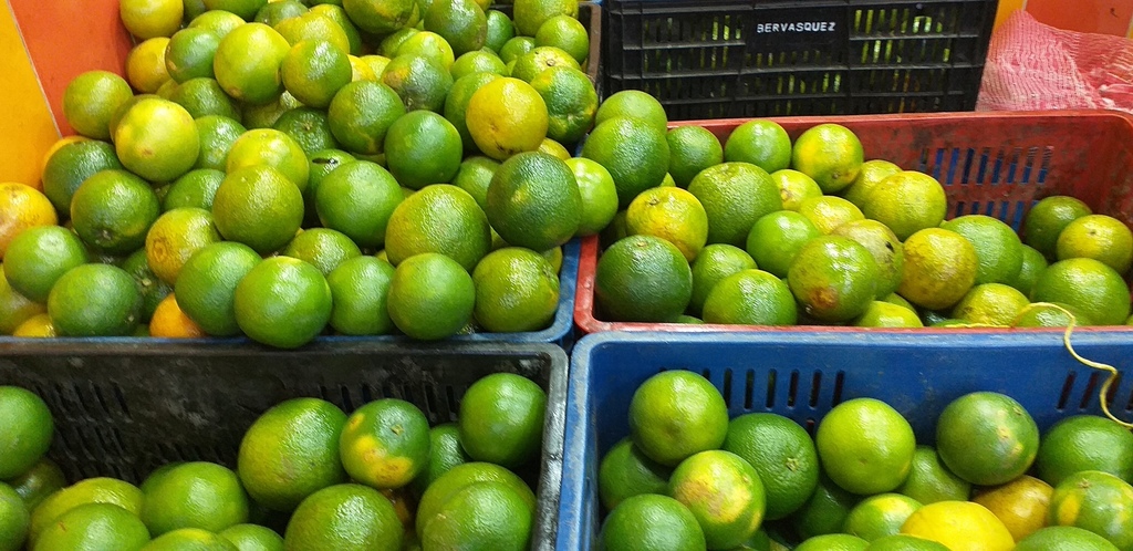 Naranja valencia