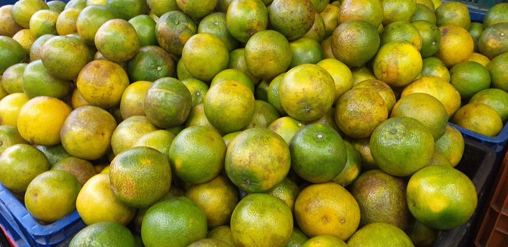 Naranja valencia de 2da