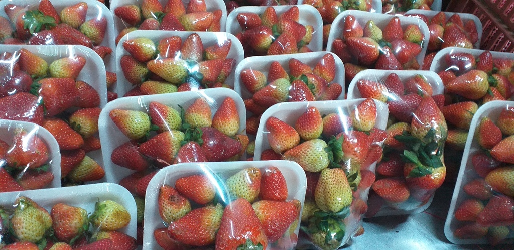 Fresa jumbo en bandeja