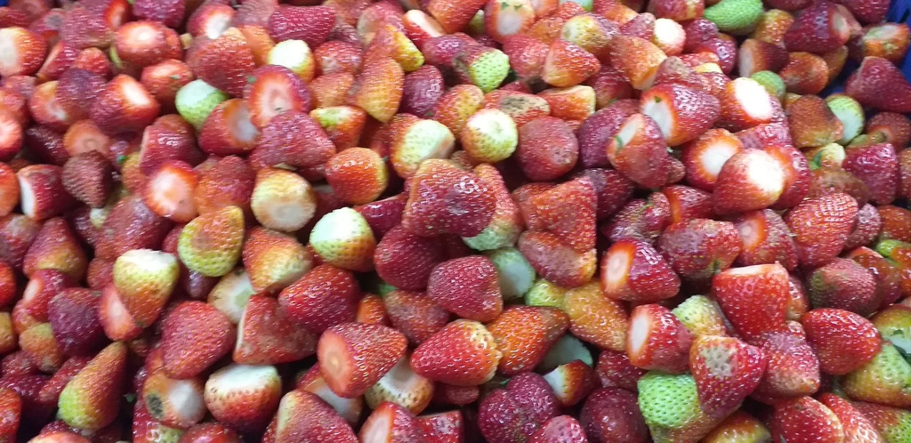 Fresa despitonada para jugo