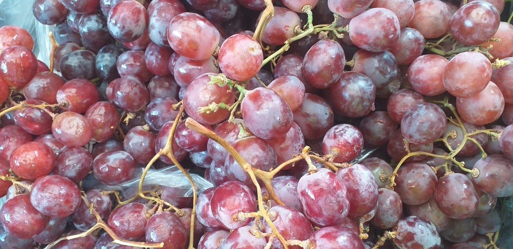 Uva chilena