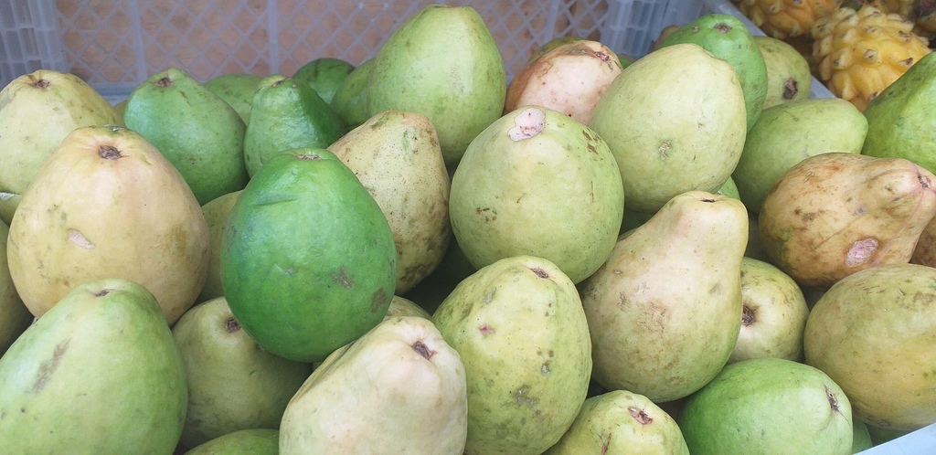 Guayaba pera