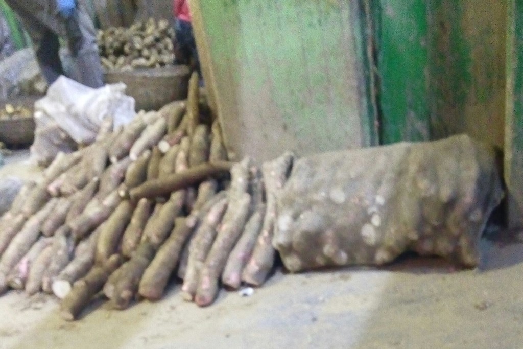 Yuca
