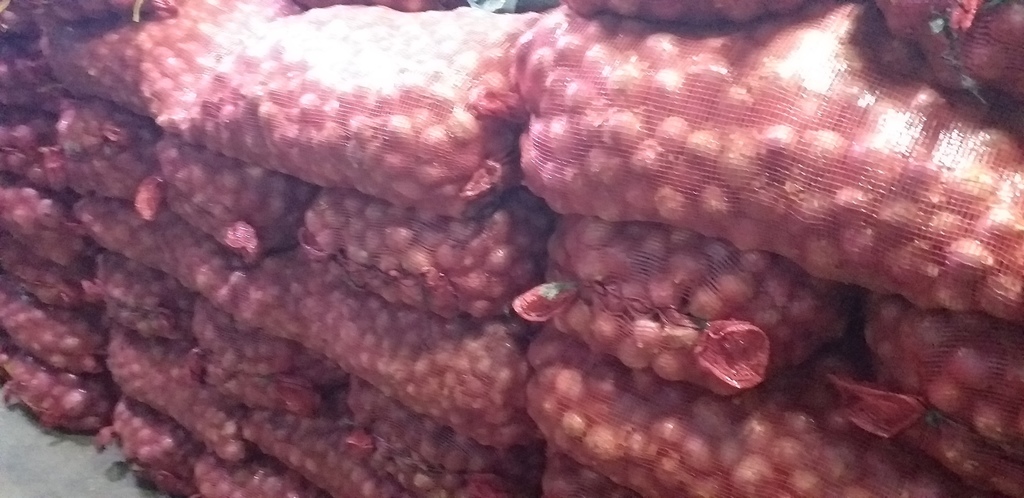 Cebolla roja ocañera *50kg